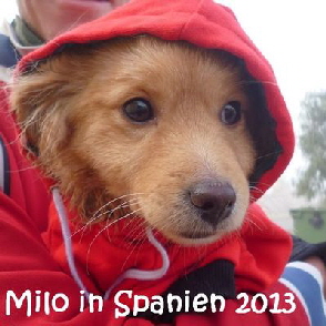 Milo_663_2104
