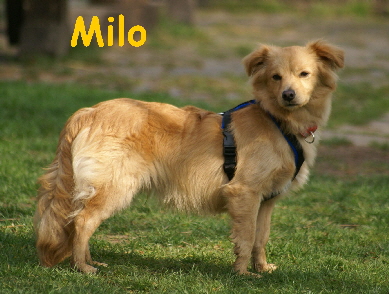 Milo_DSC00063_mitName