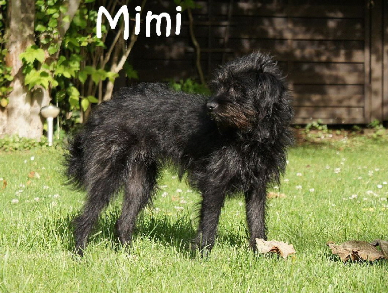 Mimi_DSC00470_mN