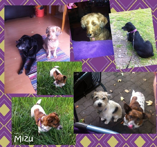Mizu_IMG_1279