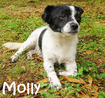 Molly03_mN