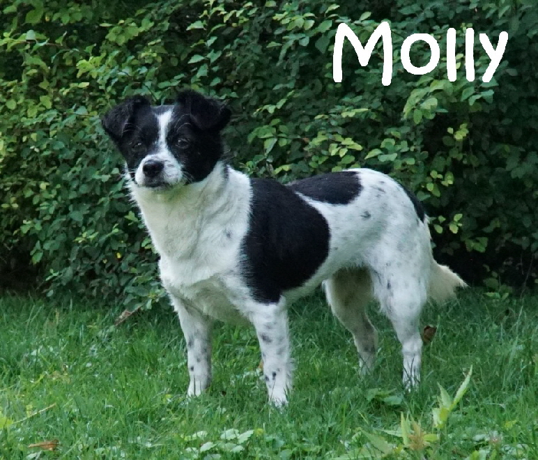 Molly_DSC04339_mN