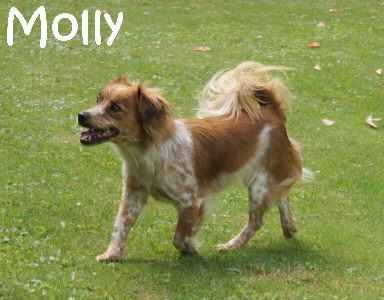 Molly_DSC07668_mN