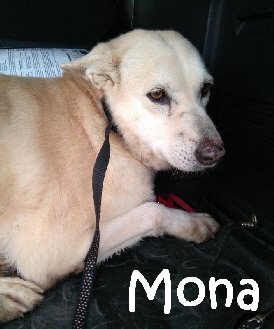 Mona_IMG_20180201_090513_mN
