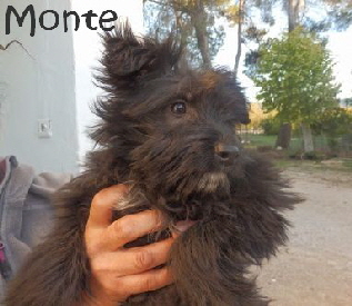 Monte_PB060029_mitName