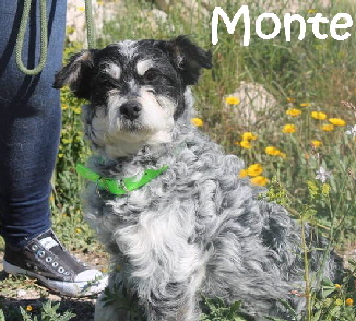 Monte_adjuntos_fichero_949e9277cbbf3623g_mN