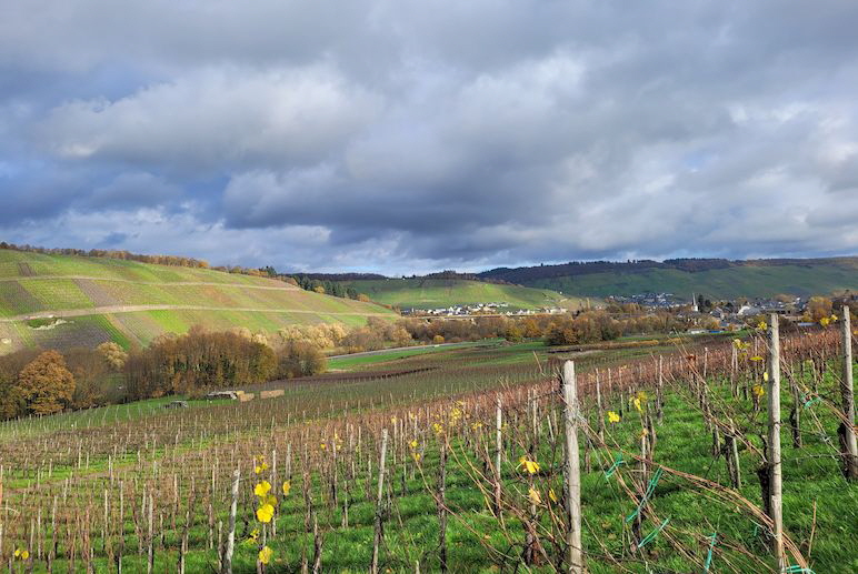 Mosel_20221125_115743 Kopie