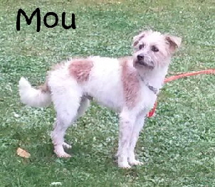 Mou_20151222_092929_mN