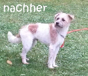 Mou_20151222_092929_mNnacher