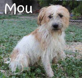 Mou_IMG_6197_mN2