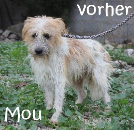 Mou_IMG_6204_mNvorher
