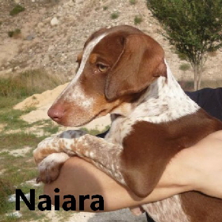 Naiara_048_mitName