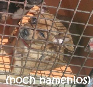 Namenlos_IMG_20170824_183709_mN