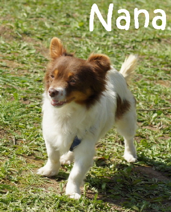 Nana_DSC02363_mN