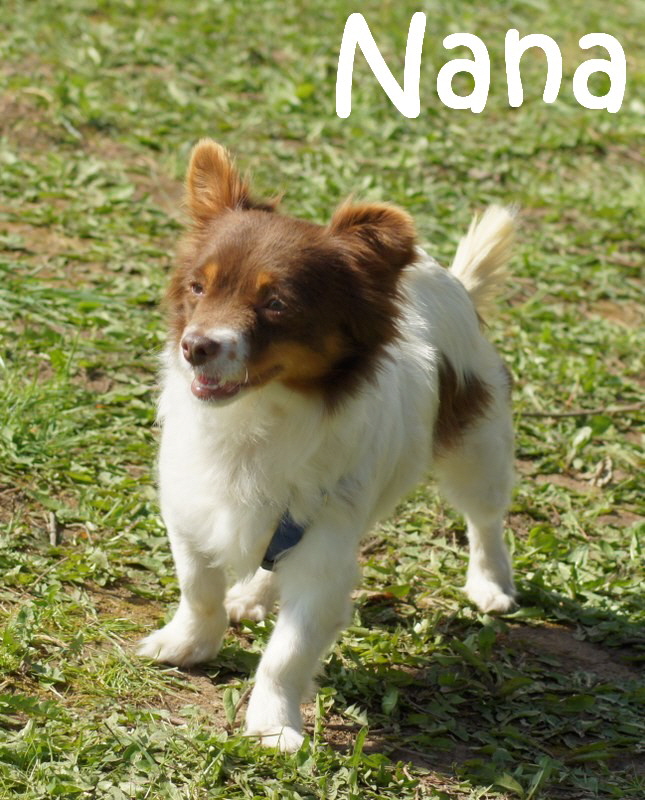 Nana_DSC02363_mN