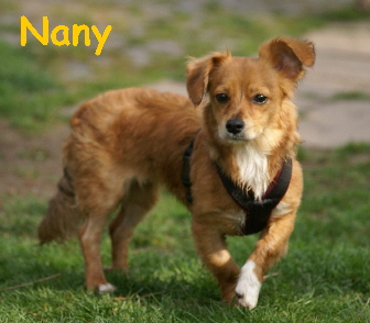 Nany_DSC00048_mitName