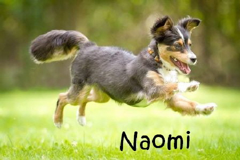 Naomi_Emi_mN