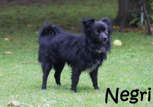 Negri_DSC06586_mitName