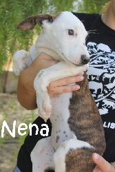 Nena_IMG_8855