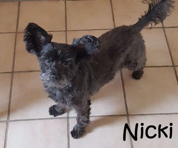 Nicki_20160125_093011_mN