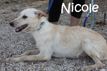 Nicole_IMG_8361