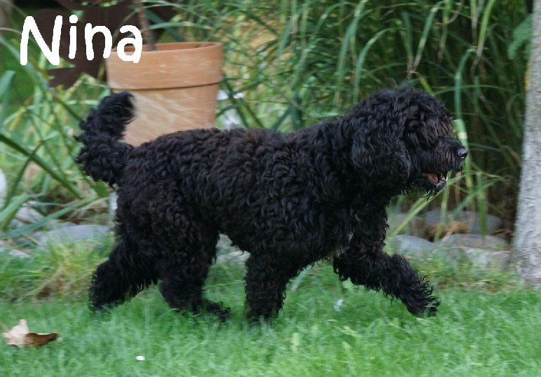 Nina_DSC05200_mN