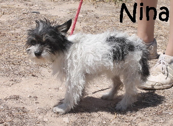 Nina_IMG_2480_mN