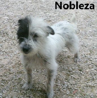 Nobleza_mitName