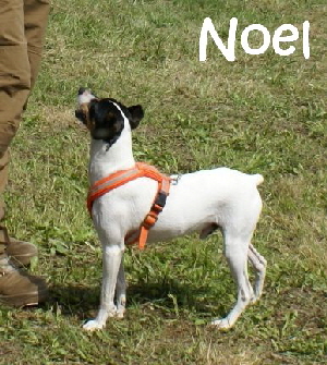 Noel_DSC00144_mN