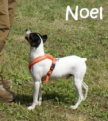 Noel_DSC00144_mN