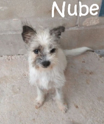 Nube_6dfa28ee-528d-4670-b28a-c66dbd55a352_mN