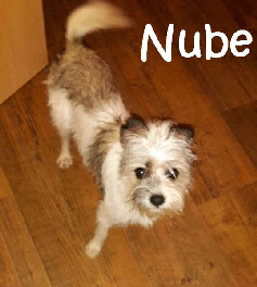 Nube_IMG-20171125-WA0013_mN