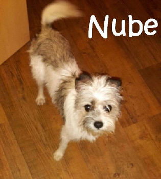 Nube_IMG-20171125-WA0013_mN