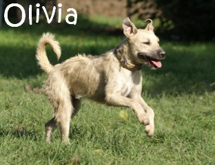Olivia_IMG_0442_mN