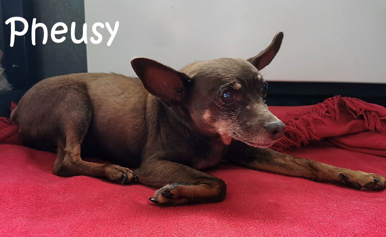 Orpheus_20250729_150047 Orpheus_20250729_150047