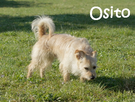 Osito_DSC02233_mN