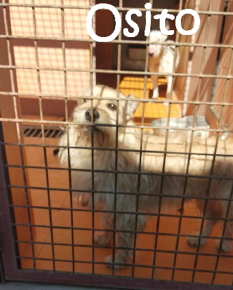 Osito_IMG-20180226-WA0095_mN