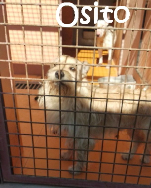 Osito_IMG-20180226-WA0095_mN