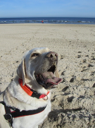 Ostsee-Oktober 2013 (119)