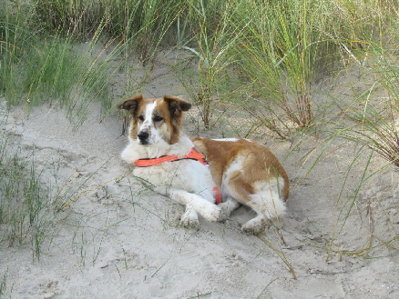 Ostsee-Oktober 2013 (91)