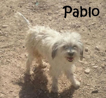 Pablo2_mitName