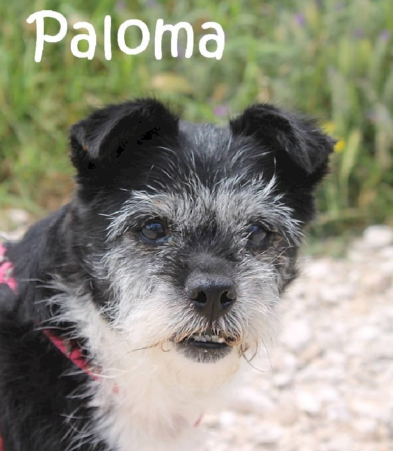 Paloma_IMG_3641_mN