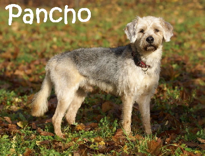 PanchO_DSC00422_mN