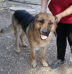 Pancho_20160209_114045