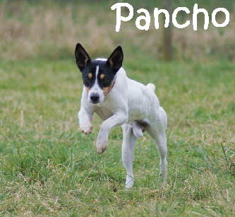 Pancho_DSC01586_mN