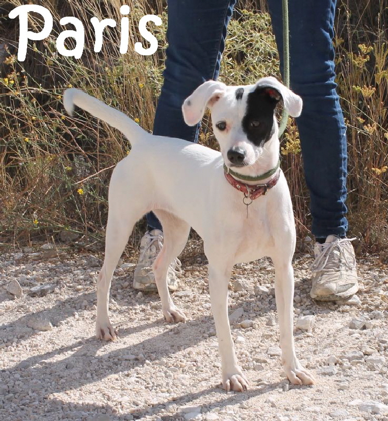 Paris_IMG_2462_mN