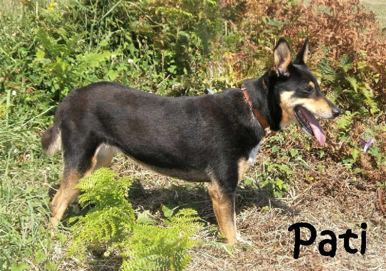Pati_Standing_mN