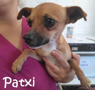 Patxi_IMG-20190806-WA0004_mN