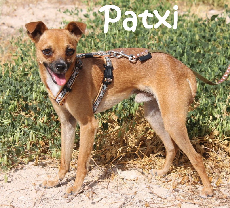 Patxi_IMG_2742_mN