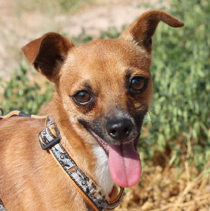 Patxi_IMG_2749